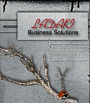 Ladaki Business Solutions - support - site map